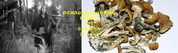трава Волосово